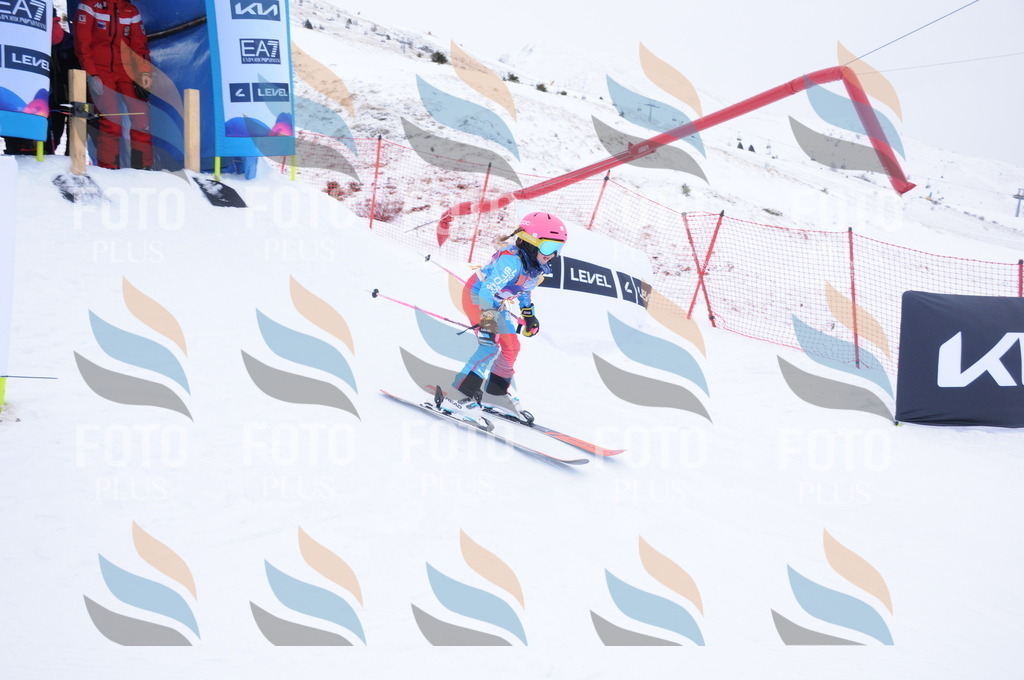 DSC_8324 | holidayphoto