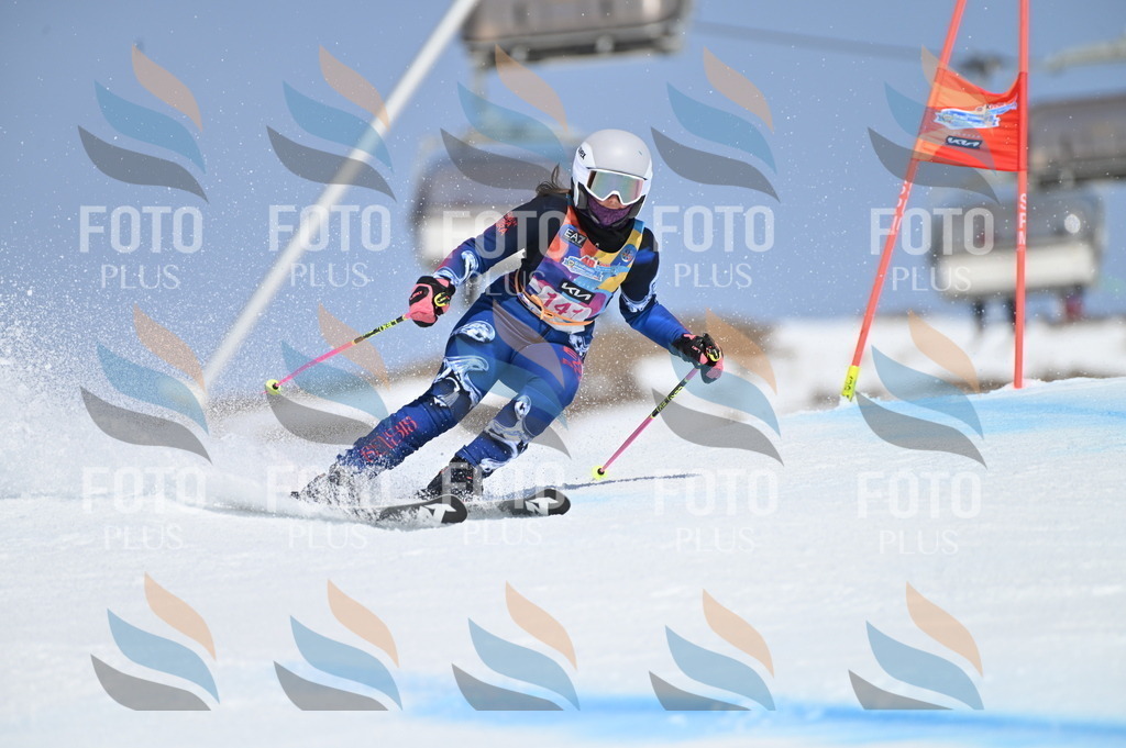 BGV_0153 | holidayphoto