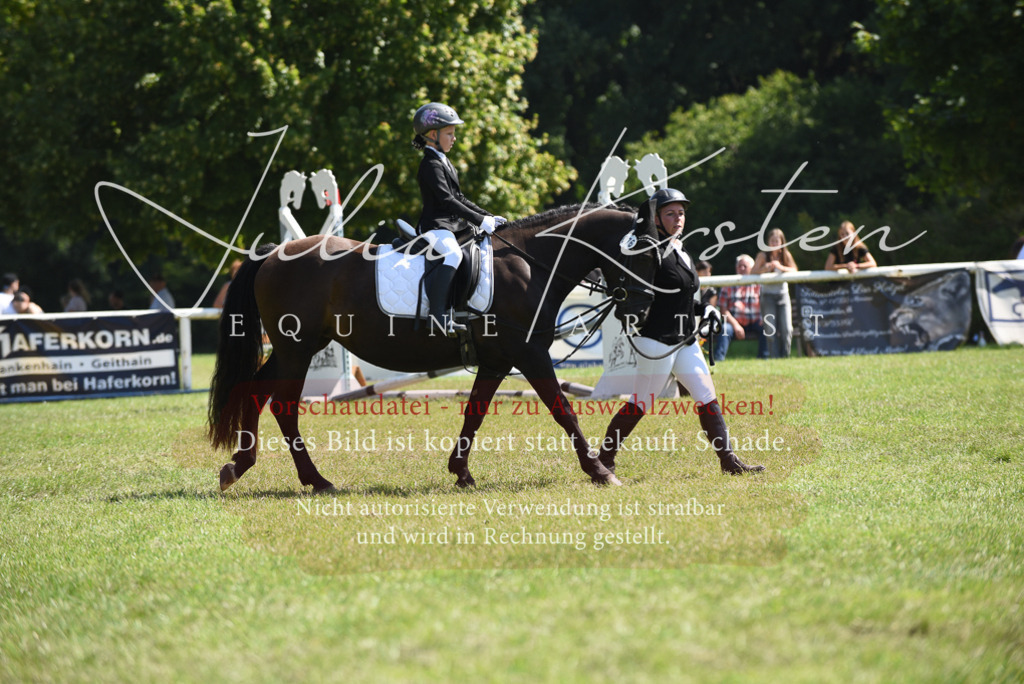 DSC_9799 | Pferde- und Turnierfotografie in Westsachsen. Pferdeportraits, Auftragszeichnungen und intuitive Kunst.
