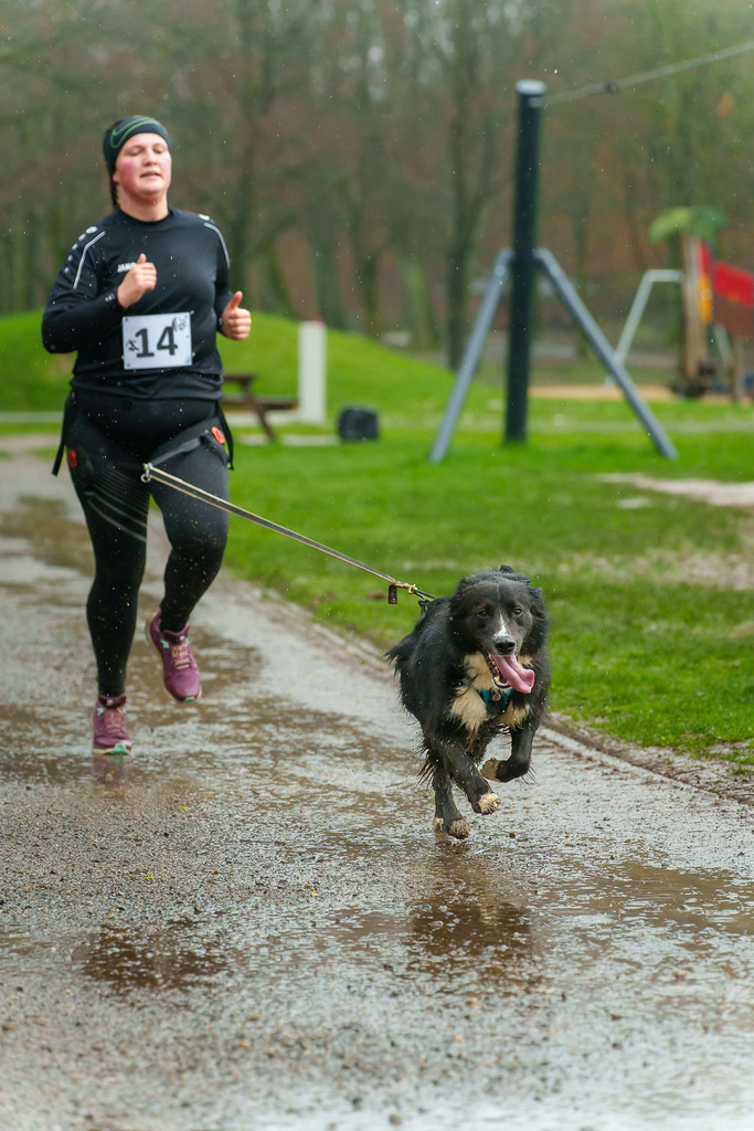 allesWIRTHgut Tierfotografie - 7IV05639-ARW_DxO | Professionelle Tierfotografie in Mönchengladbach von Daniel Wirth (allesWIRTHgut). Liebevolle & natürliche Bilder von Hunden & Katzen für unvergessliche Erinnerungen.