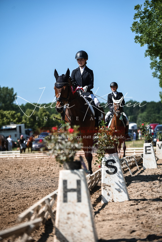 DSC_3711 | Pferde- und Turnierfotografie in Westsachsen. Pferdeportraits, Auftragszeichnungen und intuitive Kunst.