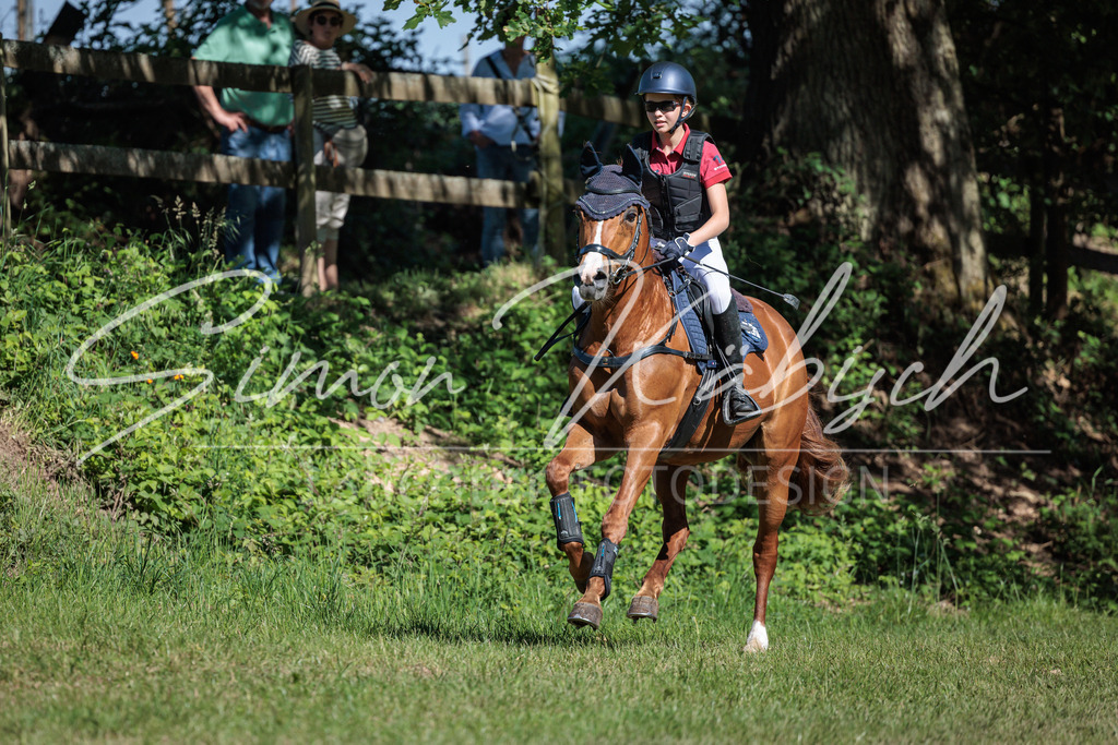 20260523-_3LI7001 | Tierfotografie Pferde, Hunde, Katzen, Haustiere.
Turnierfotografie Reitturniere, Reiten, Springreiten, Dressur in Hanau, dem Main-Kinzig-Kreis und dem Rhein-Main- Gebiet um Frankfurt
