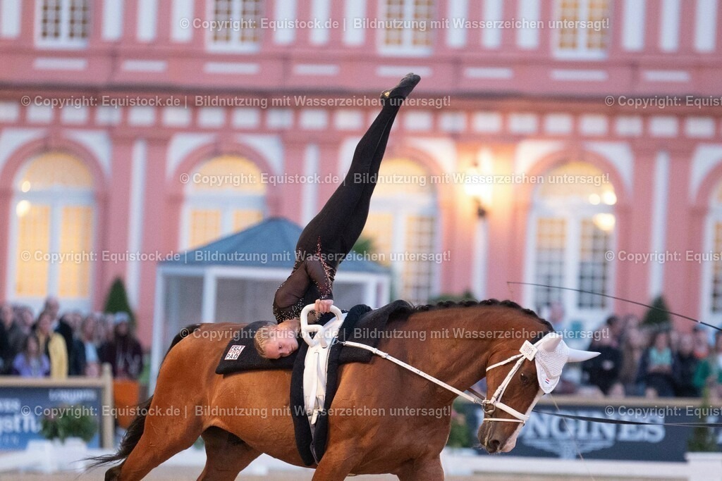 20230527_Voltigieren_NASPA_Flutlicht_0454 | equistock
