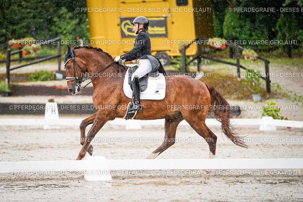 DSC09095 | Pferdegrafie