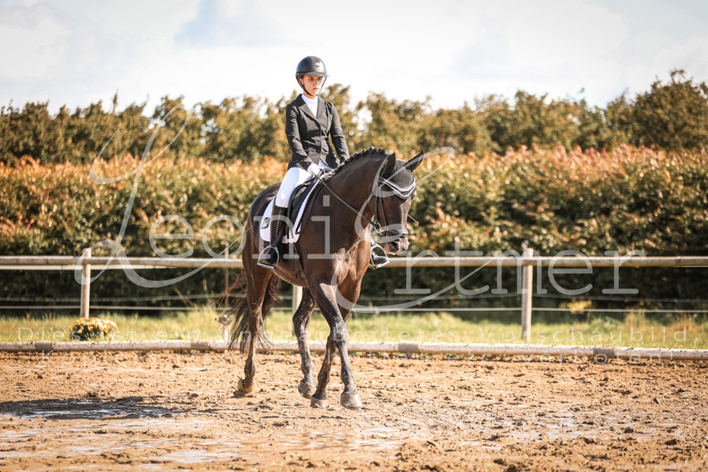 07.SoDrE00258 | Leoni Ertmer Photography - Realisiert mit Pictrs.com