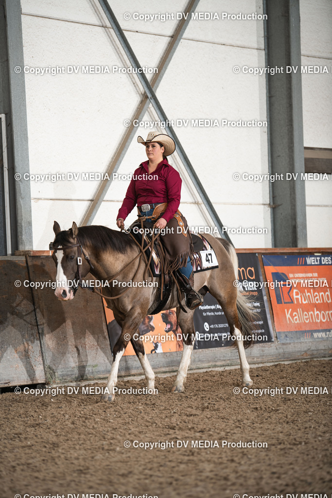 Heiligenwald Tag 1-335 | dv-media-shop - Realisiert mit Pictrs.com