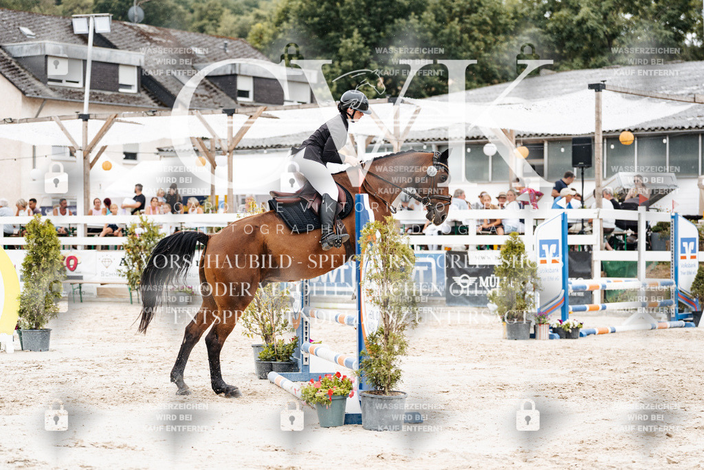 CK908478 | Turnierfotografie Pferdefotografie Trier Rheinland-Pfalz Pferdesport Reitsport Tierfotografie Sportfotografie Pferdevideo Pferdevideografie Equestrianvideography equestrianphotography  - Realisiert mit Pictrs.com