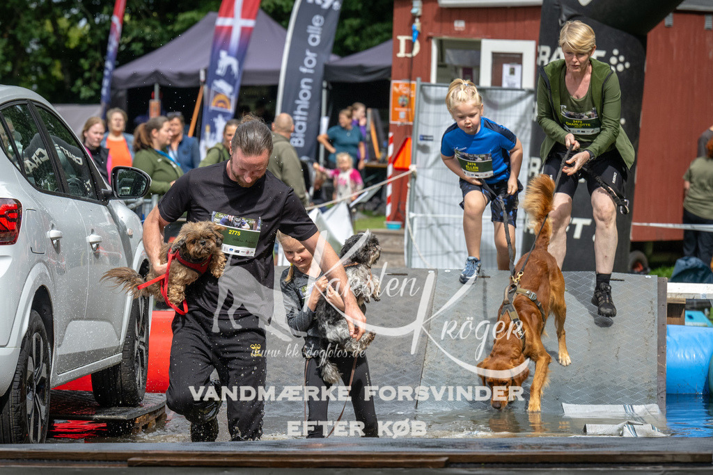 1435_ZZ91482 | kk-dogfotos