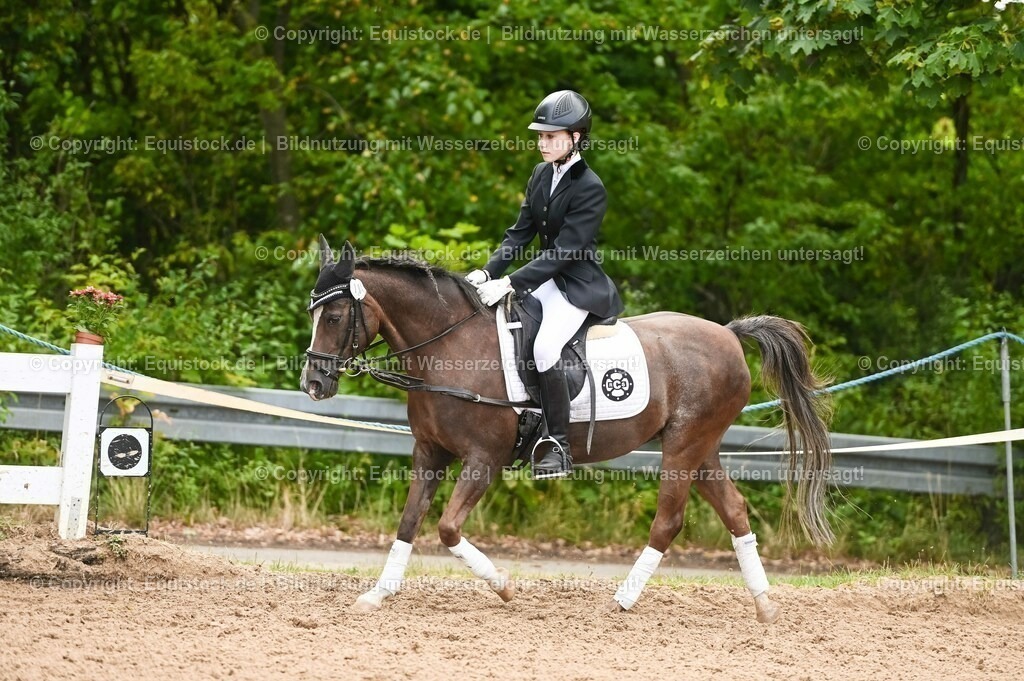 20230716_10-2_Reiter-WB Schritt - Trab - Galopp_0087 | equistock