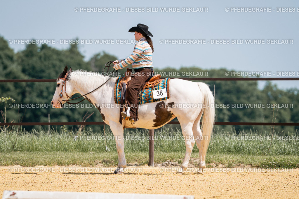 DSC01268 | Pferdegrafie