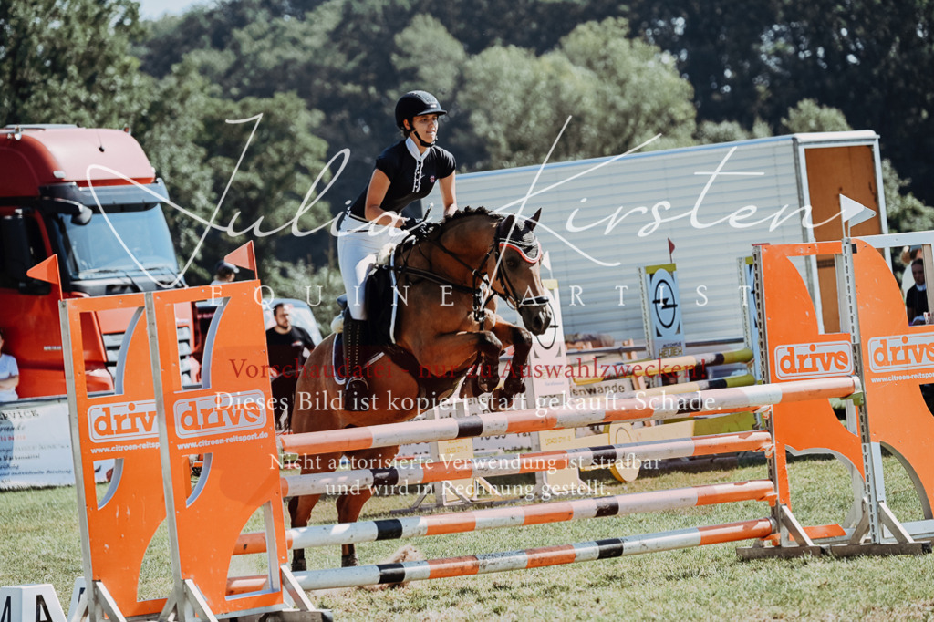 DSC_6035 | Pferde- und Turnierfotografie in Westsachsen. Pferdeportraits, Auftragszeichnungen und intuitive Kunst.
