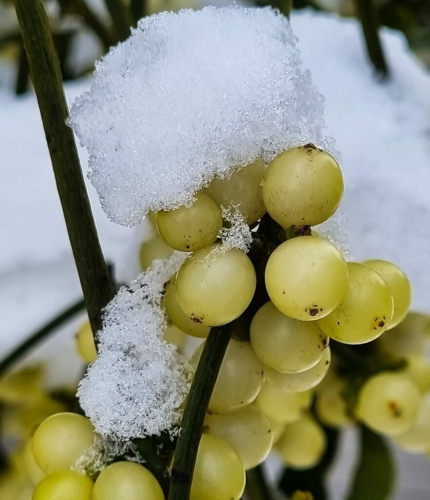 PSX_20221216_230257 | mtkfoto_ - Realisiert mit Pictrs.com