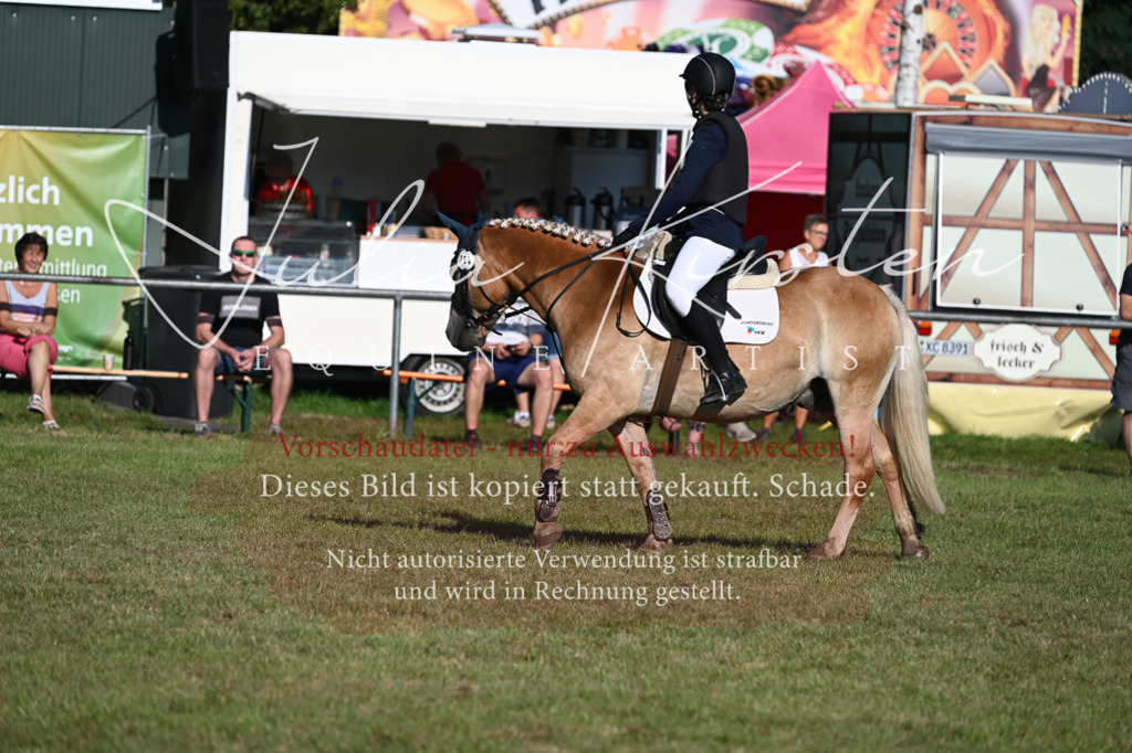 DSC_4824 | Pferde- und Turnierfotografie in Westsachsen. Pferdeportraits, Auftragszeichnungen und intuitive Kunst.