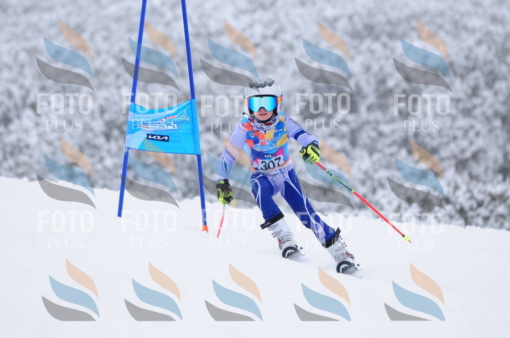 C3241 | holidayphoto