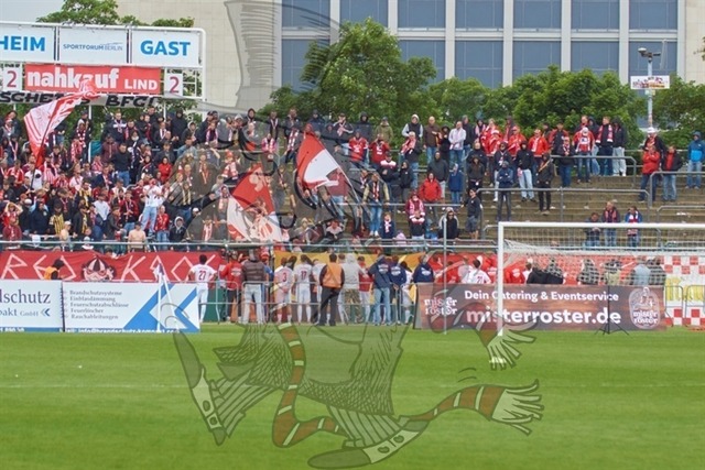 BFC Dynamo vs. FSV Zwickau 132 | mythos-online-redaktion