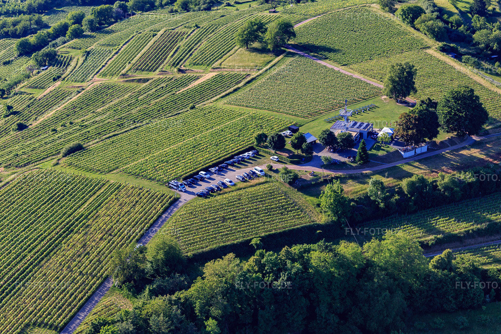 Luftbild: Aussichtsrestaurant Heubergturm / zum Heuberg auf dem Weinberg in Ettenheim im Bundesland Baden-Württemberg in Deutschland. Foto: IMG_147745.jpg vom 30.05.2025 durch Werner Riehm/FLY-FOTO.deZum Heuberg | Ettenheim Heubergturm