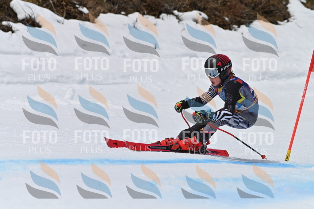 BGV_4648 | holidayphoto