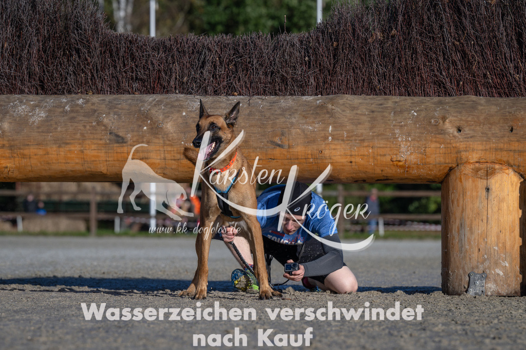 1048-_ZZ92780 | kk-dogfotos