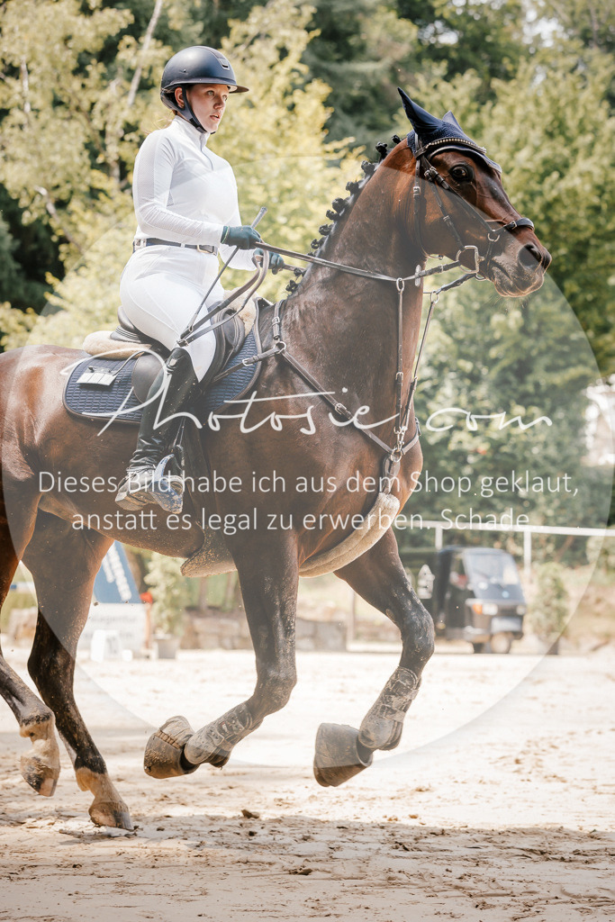 3I6A7929 | Stimmungsvolle Portraits und Reitsportfotografie im Ruhrgebiet und im Münsterland.

Pferdefotografie, Hundefotografie, Tierfotografie, Reportagen, Portraits von Tier und Mensch, Turnierfotografie in Bochum, Recklinghausen, Marl, Haltern am See, Dülmen.. - Realisiert mit Pictrs.com