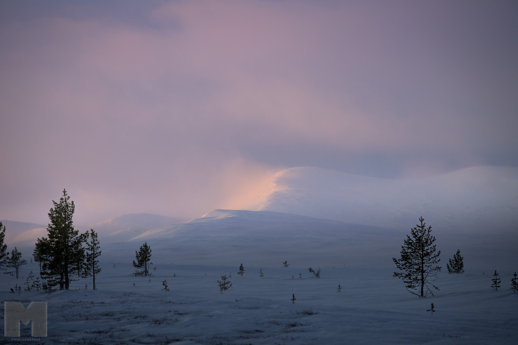 Digerhogna im Abendlicht | Landschafts- und Tierfotografie zu allen Jahreszeiten. Und immer die Schönheit des Lichtes im Auge... - Realisiert mit Pictrs.com