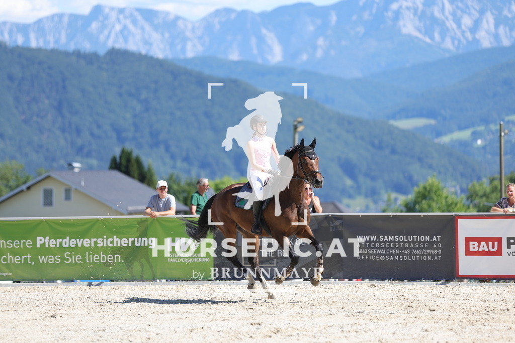 0P6A3654 | Willkommen bei Brunnmayr - Design & Fotografie – Ihrem Spezialisten für Reitturniere und Pferdeveranstaltungen in Oberösterreich, Salzburg und Bayern! Seit über 17 Jahren sind wir leidenschaftlich dabei.