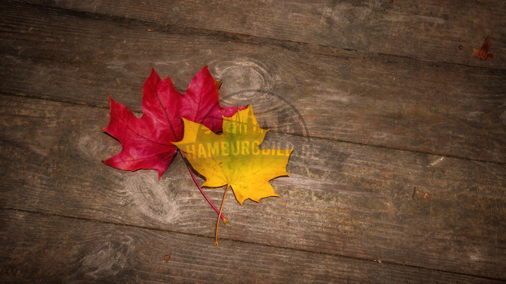 stativkunst-146 | Exklusive Hamburg collagen, tolle Segelbilder und viele weitere tolle Motive auf Leinwand, Poster, Alu-Dibond, u.v.m. findet Ihr bei uns auf hamburgbild.de. Findet Euer Wandbild für Euer Zuhause, Büro oder die  Praxis…. - Realisiert mit Pictrs.com