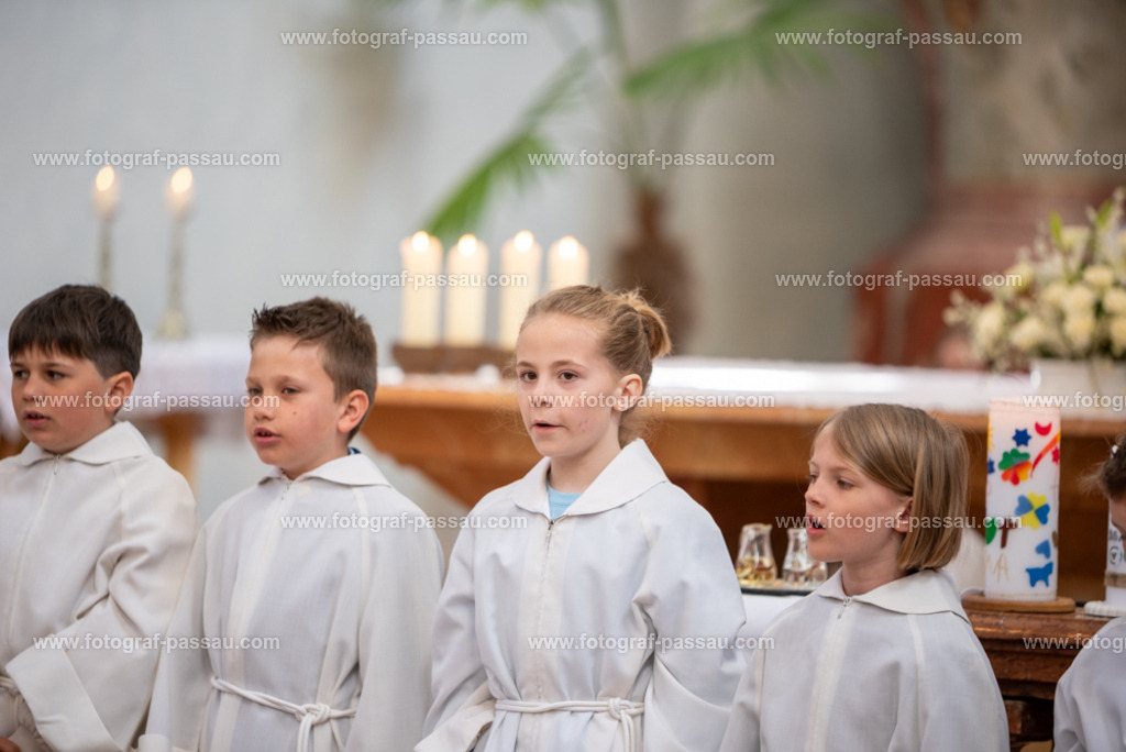 _DSC2680 | Hier finden Sie die Online Foto-Galerie von fotograf-passau.com und marius-handrugan.de. Suchen Sie sich direkt Ihre Lieblingsbilder aus, ob als Ausdruck oder Download. - Realisiert mit Pictrs.com
