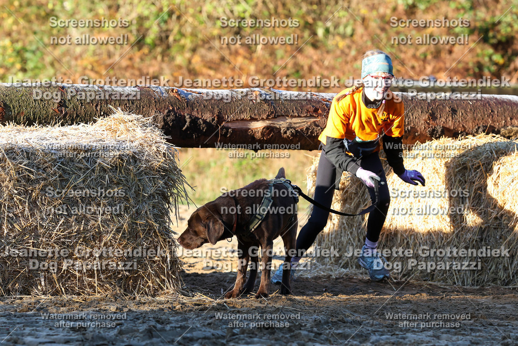 Dog Paparazzi - Strongdog 10-25-762 | Dog Paparazzi Jeanette Grottendiek Fotografie & Videografie - Realisiert mit Pictrs.com