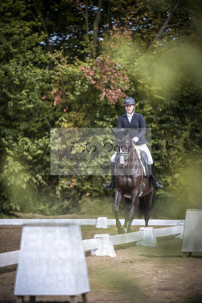 DOS_0231 | Entdecke hochwertige Reitturnierfotos von Foto Oger. Professionell, emotional und authentisch – jetzt Lieblingsmomente im Shop bestellen.Deutschlandweite Turnierfotografie. - Realisiert mit Pictrs.com