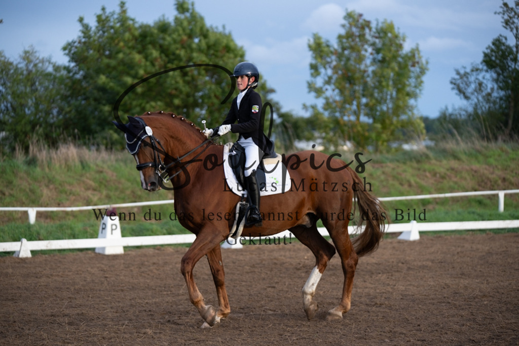 A7V06096 | Pferdefotograf