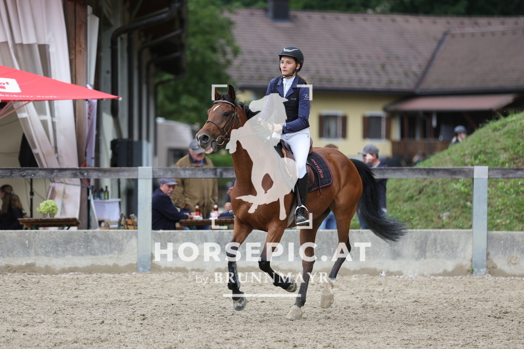 0P6A2625 | Willkommen bei Brunnmayr - Design & Fotografie – Ihrem Spezialisten für Reitturniere und Pferdeveranstaltungen in Oberösterreich, Salzburg und Bayern! Seit über 17 Jahren sind wir leidenschaftlich dabei.