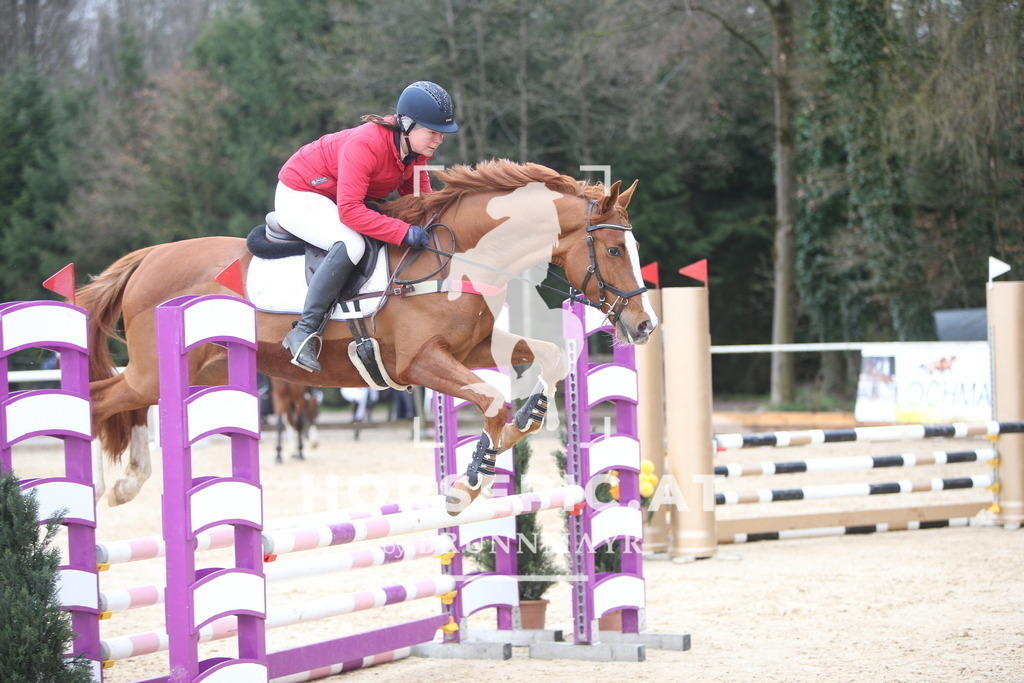 AS8V9947 | Willkommen bei Brunnmayr - Design & Fotografie – Ihrem Spezialisten für Reitturniere und Pferdeveranstaltungen in Oberösterreich, Salzburg und Bayern! Seit über 17 Jahren sind wir leidenschaftlich dabei.