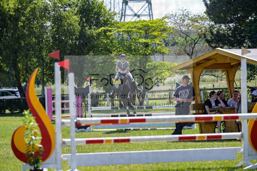 Reitturnier Voxtrup | Entdecke hochwertige Reitturnierfotos von Foto Oger. Professionell, emotional und authentisch – jetzt Lieblingsmomente im Shop bestellen.Deutschlandweite Turnierfotografie. - Realisiert mit Pictrs.com