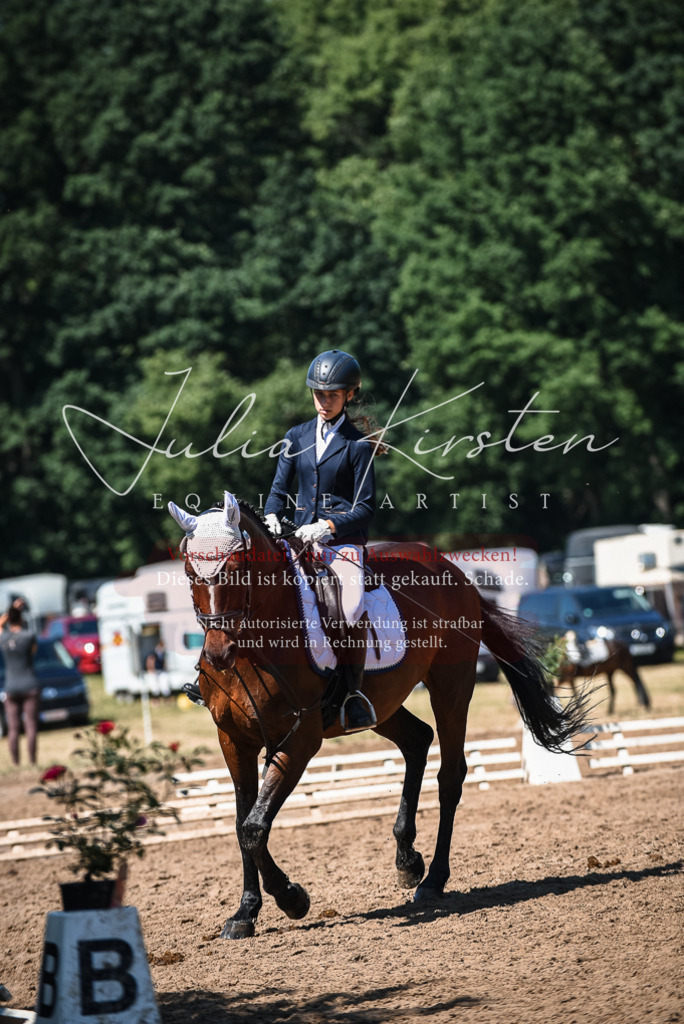 DSC_3476 | Pferde- und Turnierfotografie in Westsachsen. Pferdeportraits, Auftragszeichnungen und intuitive Kunst.