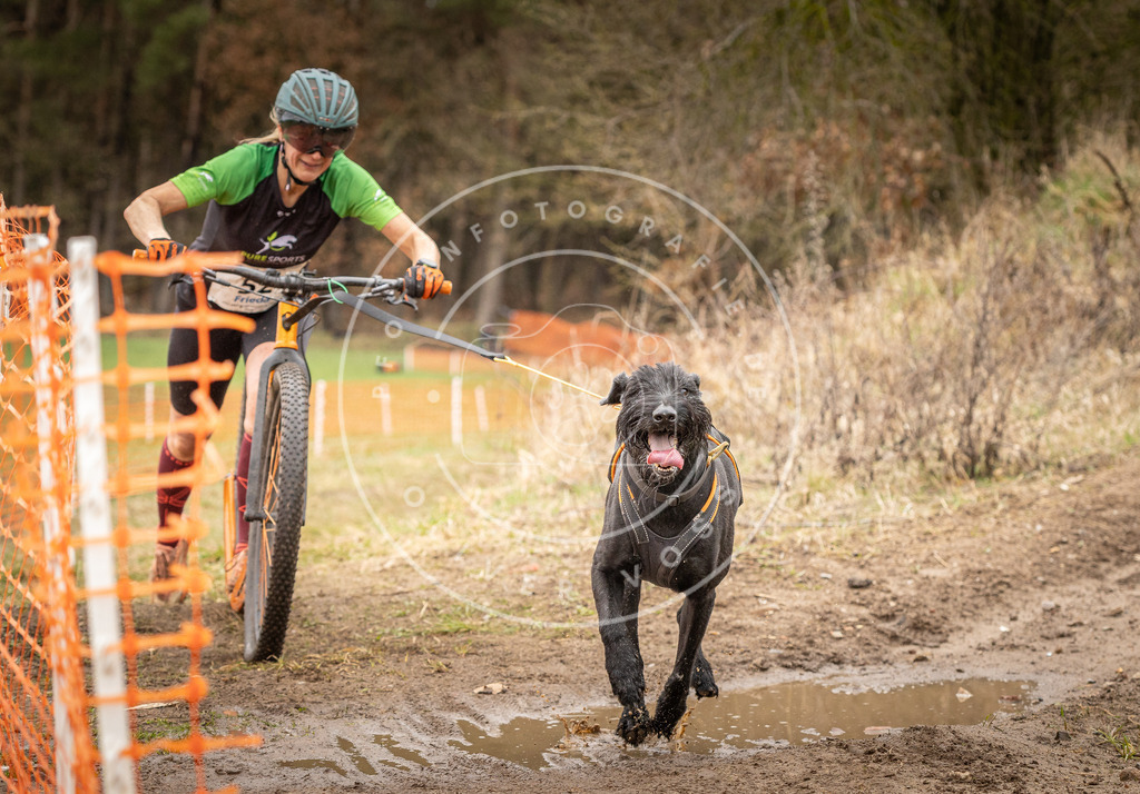 DV3A1548 | Hundefotografie, Tierfotograf, Pfotenfotografie, Fotoshooting Hund, Hunde Portrait, Hundesport, Hundeportraits, Heideshooting, Hunde, Sportfotograf, Hundefotograf, Turnierhundsport, THS,  - Realisiert mit Pictrs.com