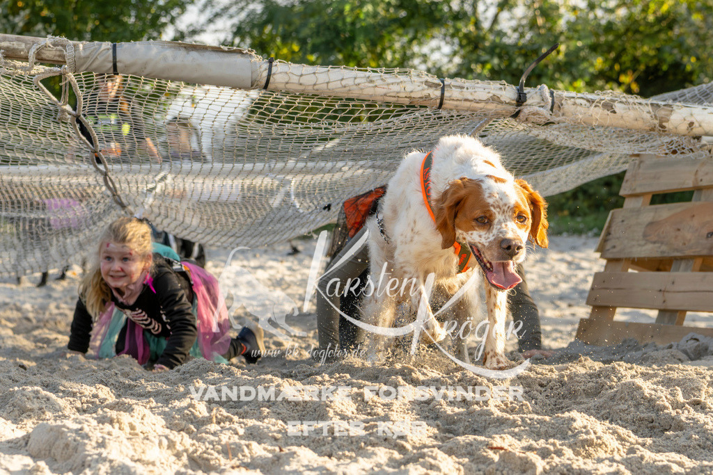 1646_ZZ99291 | kk-dogfotos