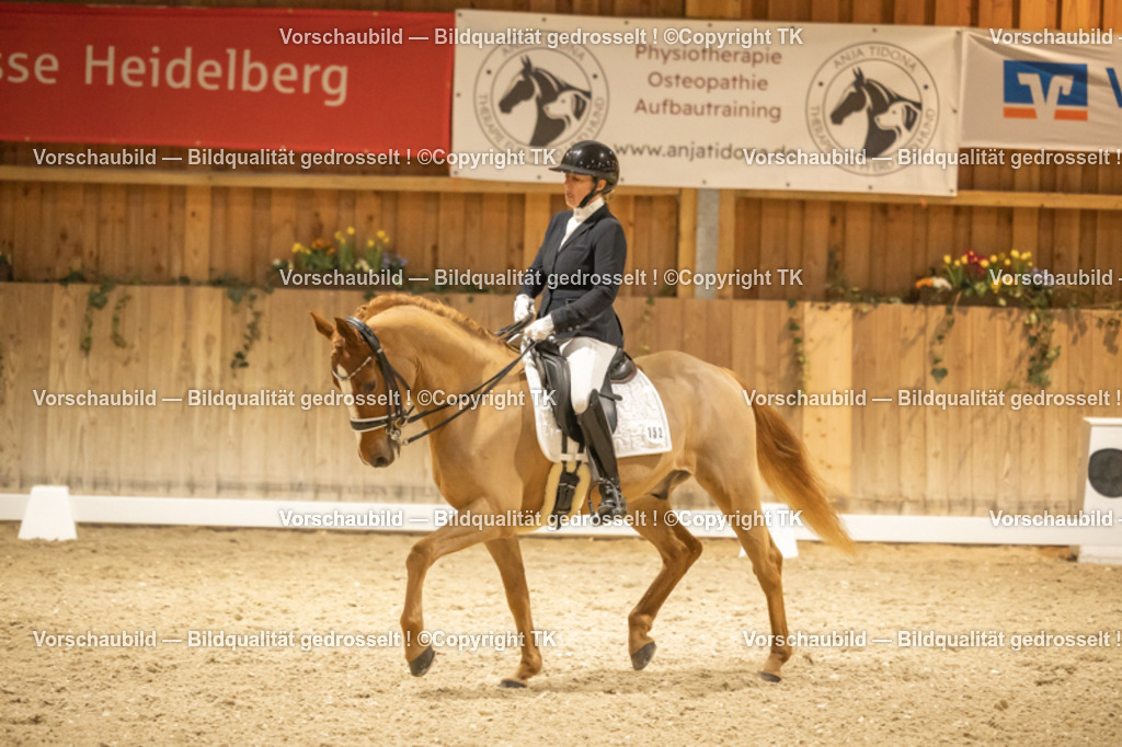 _D5A4186 | Emotionale Pferde- & People-Fotografie rund um Heidelberg, Leimen & Umgebung. Natürliche Fotos von Pferd, Mensch & Familie. Jetzt Termin sichern!