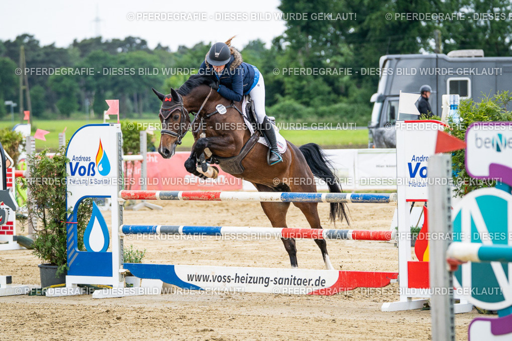 DSC05965 | Pferdegrafie