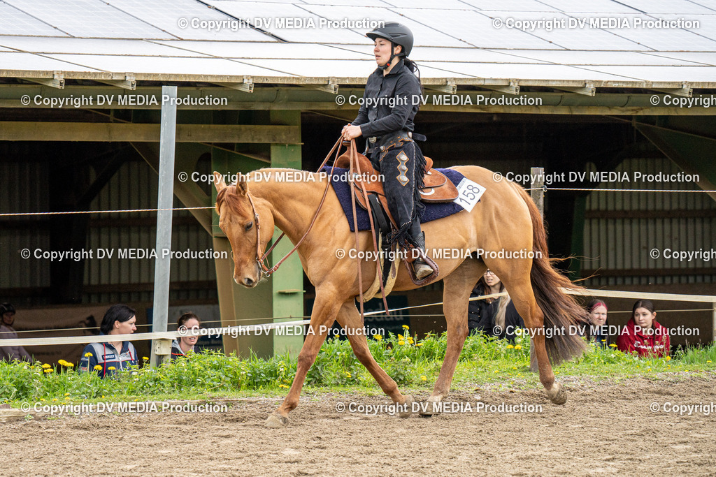 BAL00744 | dv-media-shop - Realisiert mit Pictrs.com