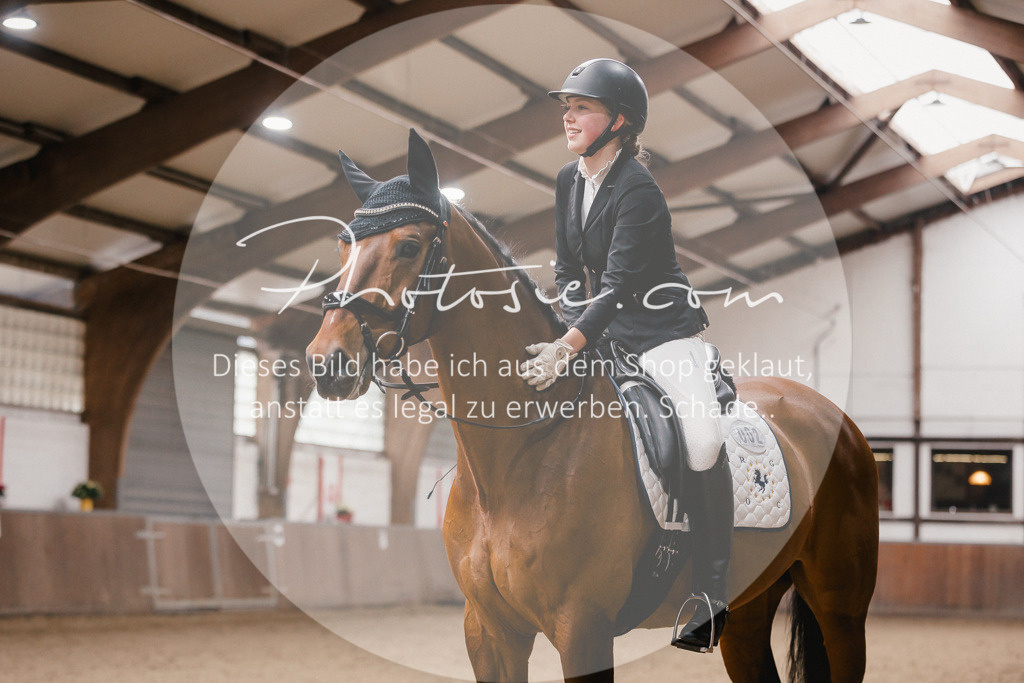 3I6A7233 | Stimmungsvolle Portraits und Reitsportfotografie im Ruhrgebiet und im Münsterland.

Pferdefotografie, Hundefotografie, Tierfotografie, Reportagen, Portraits von Tier und Mensch, Turnierfotografie in Bochum, Recklinghausen, Marl, Haltern am See, Dülmen.. - Realisiert mit Pictrs.com