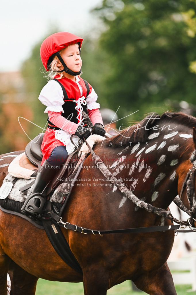 DSC_7440 | Pferde- und Turnierfotografie in Westsachsen. Pferdeportraits, Auftragszeichnungen und intuitive Kunst.
