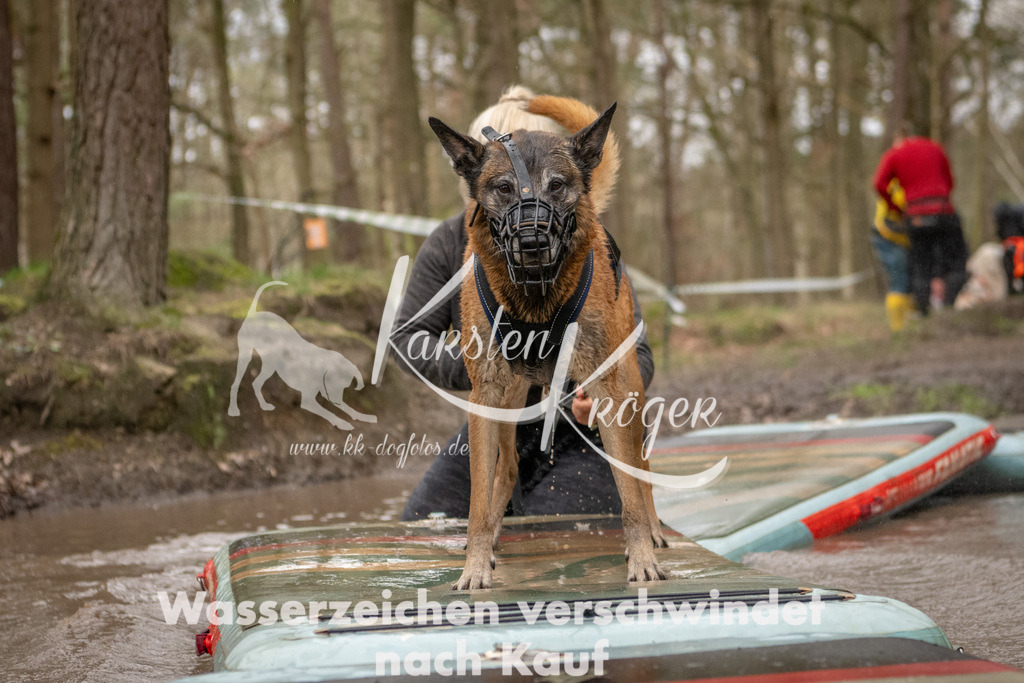 1107_ZZ90763 | kk-dogfotos
