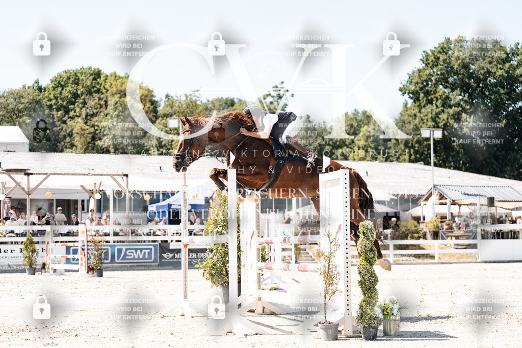 CK909864 | Turnierfotografie Pferdefotografie Trier Rheinland-Pfalz Pferdesport Reitsport Tierfotografie Sportfotografie Pferdevideo Pferdevideografie Equestrianvideography equestrianphotography  - Realisiert mit Pictrs.com
