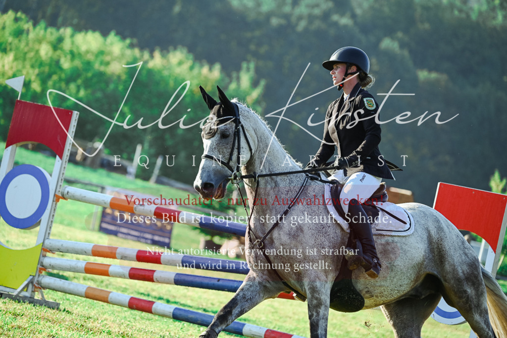 DSC_4248 | Pferde- und Turnierfotografie in Westsachsen. Pferdeportraits, Auftragszeichnungen und intuitive Kunst.