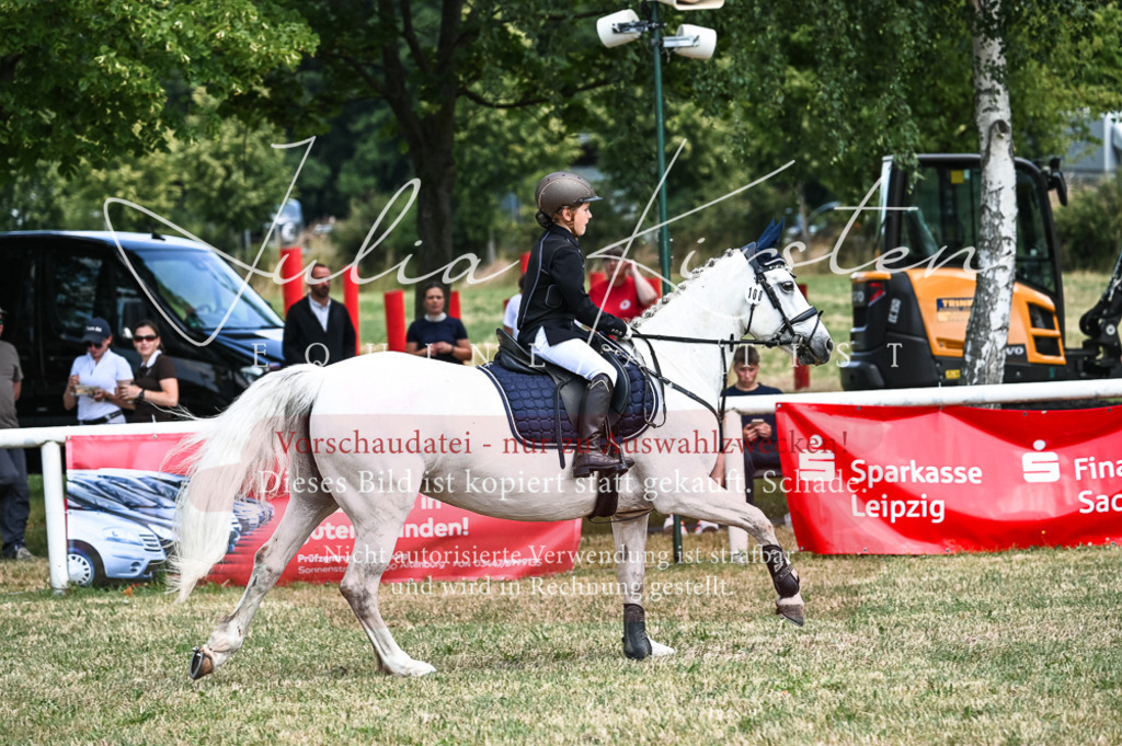 DSC_9627 | Pferde- und Turnierfotografie in Westsachsen. Pferdeportraits, Auftragszeichnungen und intuitive Kunst.