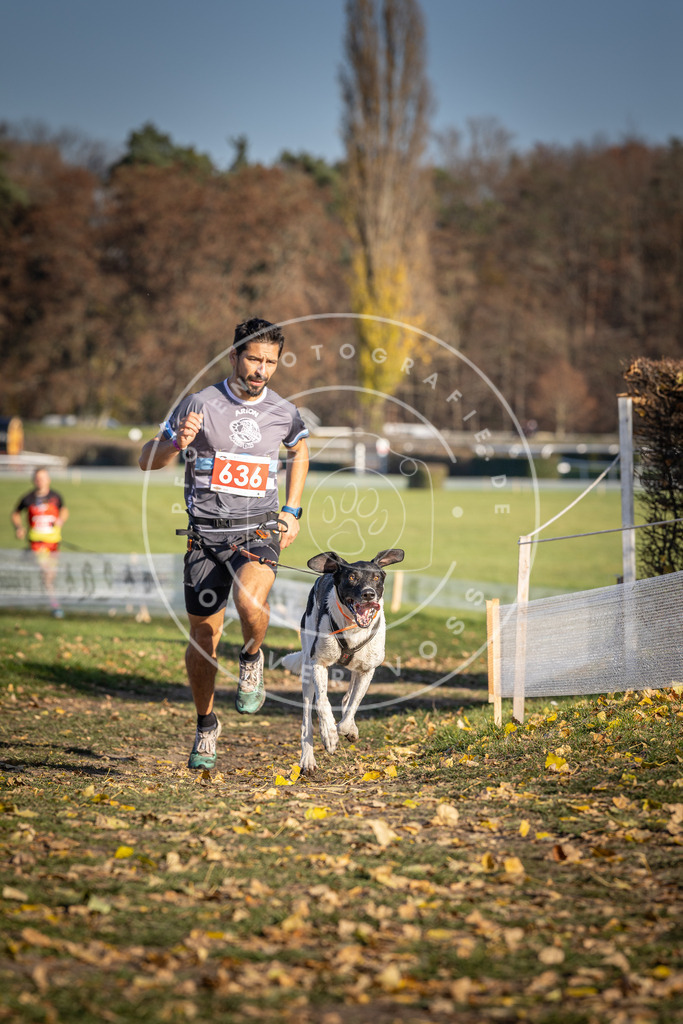CaniXpix_DV3A0213 | Hundefotografie, Tierfotograf, Pfotenfotografie, Fotoshooting Hund, Hunde Portrait, Hundesport, Hundeportraits, Heideshooting, Hunde, Sportfotograf, Hundefotograf, Turnierhundsport, THS,  - Realisiert mit Pictrs.com