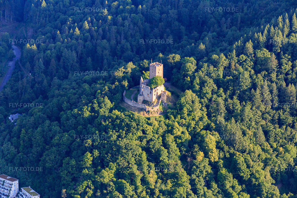 Luftbild: Ruine Kastelburg in Waldkirch im Bundesland Baden-Württemberg in Deutschland. – Foto: IMG_147598.jpg vom 30.05.2025 durch Werner Riehm/FLY-FOTO.de – Auflösung des Originals: 5472 x 3648 px – Highlights Waldkirch