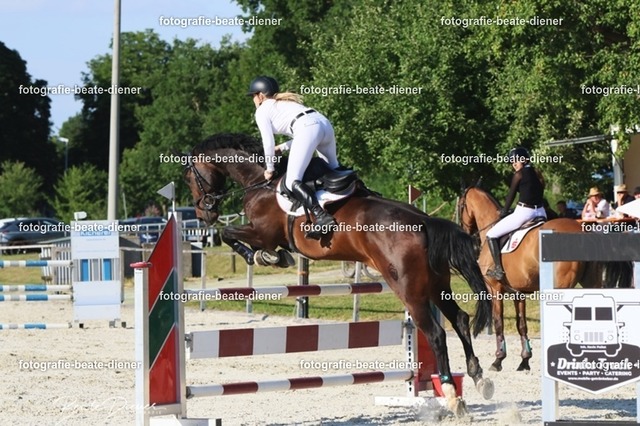 OHT 2022 Röhlingen (135) | Fotografie, Tiere, Hunde, Katzen, Pferde, Sportfotografie, Fotosession, Tierfotografie, Turnierfotografie, Fotografin, Fotograf - Realisiert mit Pictrs.com