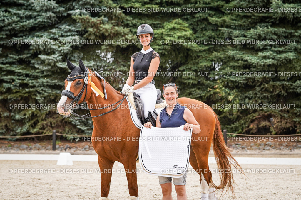 DSC08062 | Pferdegrafie