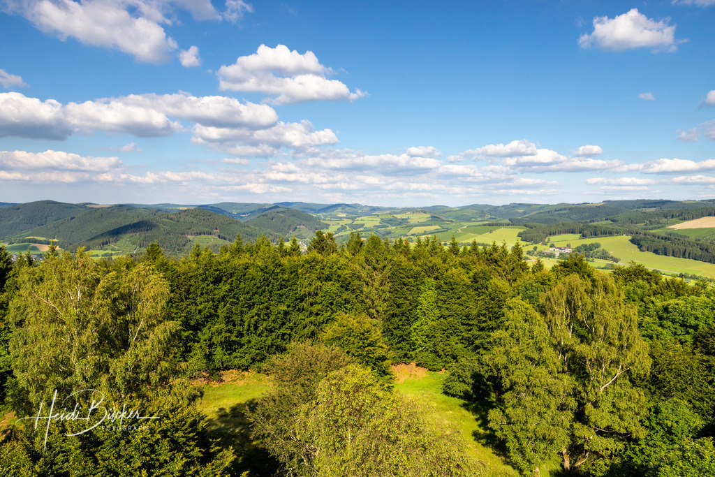 Aussicht vom Wilzenbergturm im Sommer | Aussicht vom Wilzenbergturm im Sommer - Realisiert mit Pictrs.com